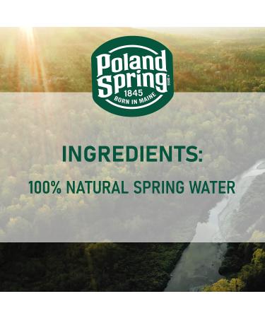 Poland Spring 1 Gallon Jug - 128 fl oz - Pure Spring Water - Buy Online on GoSupps.com
