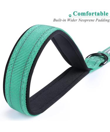 Vivaglory Short Dog Leash - 61 cm Training Line for Medium & Large Dogs - Durable Green Traffic Leash - Buy Online on GoSupps.com