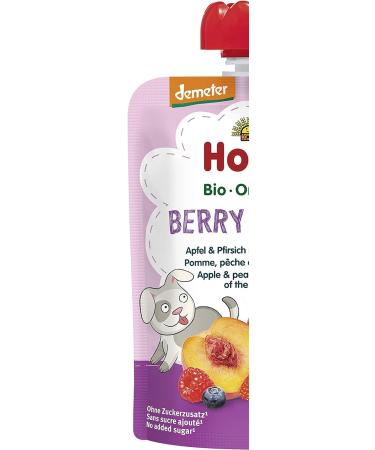 Holle Gourde Pouchy Pomme P che Fruits des Bois Bio +8m 100g - Organic Fruit Blend for Babies - Buy Online on GoSupps.com