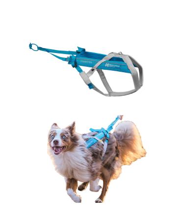 Non-stop dogwear FREEMOTION Harness 5.0 |111| Blue/Grey | Dog harness for all sports size:4 gray/blue 4