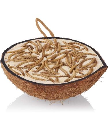 10 Filled Half Coconuts - Year-Round Wild Bird Food in 5 Varieties | International Shipping Available - Buy Online on GoSupps.com