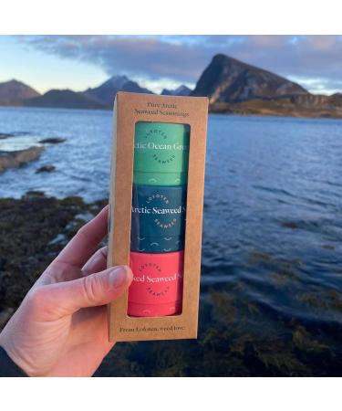 Lofoten Seaweed Seaweed & Salt Seasoning Arctic Norway 3 Box Gift Pack and Gluten-Free Vegan Sampler - Buy Online on GoSupps.com
