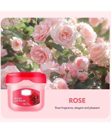  Generisch Lip moisturizing cream lip care winter moisturizing chapstick sticks long-lasting lip mask hydrating and nourishing lip care gifts for women (4) - Buy Online on GoSupps.com