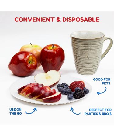 Hygloss 6-Inch White Paper Plates Bulk - 1000 Pack - Disposable for Food, Dessert, or Crafts - Buy Online on GoSupps.com