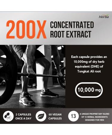 Herba Tongkat Ali Supplement for Men - 200:1 Extract 10 000mg Raw Tongkat Ali Equivalent | 60 Vegetable Capsules | Premium Tongkat Ali Extract Plus Extra | Made in Canada 60 count (Pack of 1) - Buy Online on GoSupps.com
