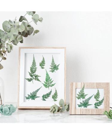 Dried Pressed Flowers and Leaves Set - 200Pcs Larkspur, Ferns, and Green Leaves for Resin Art, Wedding Decor, DIY Crafts - Natural and Preserved Dry Flowers - Buy Online on GoSupps.com