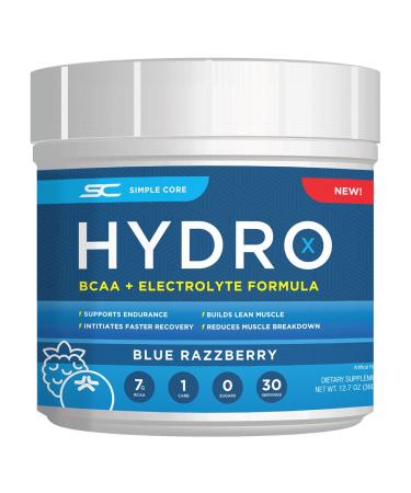 Hydro X BCAA Powder + Electrolytes for Fuel Stamina and Hydration 30 Servings (Blue Razzberry)