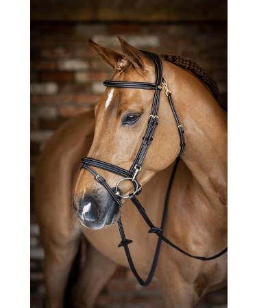 LeMieux Work Bridle - Brown Brown Full - Buy Online on GoSupps.com