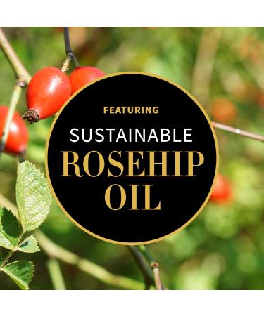 VANILLA POD - MOISTURIZING DAY CREAM - 15ml - Buy Online on GoSupps.com