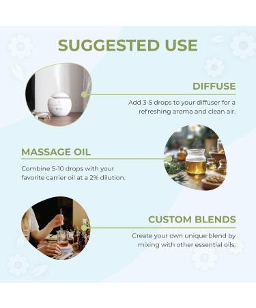 Hemp Essential Oil Blend - Hemp 100% Pure undiluted Essential Oils of: Clove Bud Lemon Cinnamon Bark Peppermint Eucalyptus Rosemary Thyme (4oz) 4 Thieves 4 Fl Oz (Pack of 1) - Buy Online on GoSupps.com