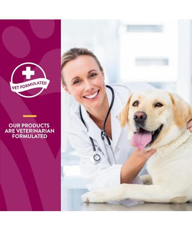 NaturVet ArthriSoothe-GOLD Advanced Care Level 3 - 180 Soft Chews for Joint Support (15.2 oz) - Buy Online on GoSupps.com
