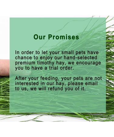 OHCOOL Timothy Hay 500g - Dust Free Natural Green Fresh Food Hay for Rabbits Tortoise Guinea Pig Chinchilla Timothy Hay 500g 500 g (Pack of 1) - Buy Online on GoSupps.com