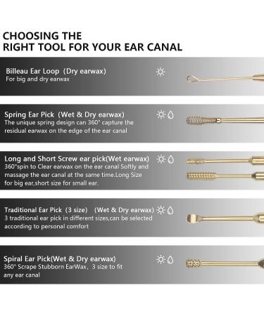 6 Pcs Professional Double-Headed Ear Wax Removal Kit | Stainless Steel Ear Pick Tools with Cleaning Brush and Storage Box - Suitable for Kids and Adults (Gold) - Buy Online on GoSupps.com