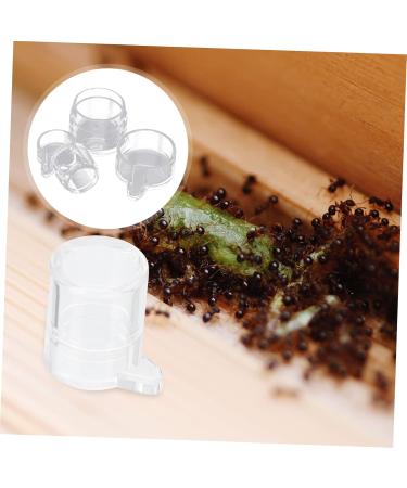 Mipcase 2pcs Ant Water Feeder Tortoise Water Dish Reptile Water Dish Cup Insect House Transparent Acrylic - Buy Online on GoSupps.com