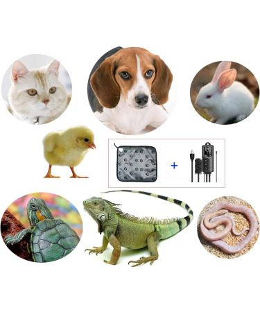Pet Heating Pad for Dogs Cats | Indoor Electric Heated Bed Mat | Waterproof & Chew Proof | Easy to Clean | 17.70X17.70 Inch - Buy Online on GoSupps.com