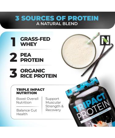 Nutrology TRIPACT Protein Powder 7-in-1 Meal Replacement Shake Vanilla Latte Cinnamon Flavor (40 Servings) BCAA Natural Plant Based BCAA Powder Lemonade Flavor (30 Servings) - Buy Online on GoSupps.com