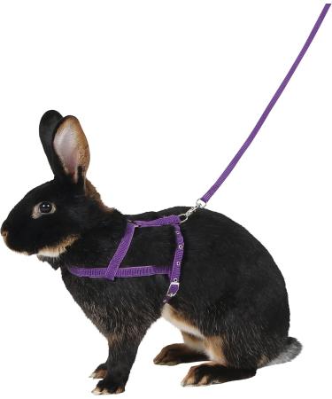 Buy Kerbl 81761 Agility Shoulder Harness with 2m Leash - Large Purple | International Shipping Available - Buy Online on GoSupps.com