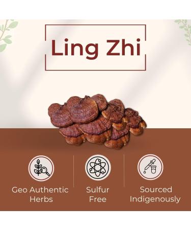 Plum Dragon Ling Zhi | Reishi Mushroom - 1lb - Buy Online on GoSupps.com