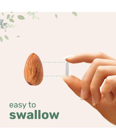 Micro Ingredients L Citrulline Capsules  1500mg Per Serving  360 Counts  Citrulline Pre-Workout Supplement  Non-GMO 360 Count (Pack of 1) - Buy Online on GoSupps.com