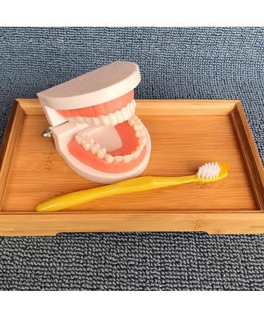 Buy Toyandona Educational Tooth Models for Kids | 3D Puzzles & Toy Sets for Brushing Teeth | Enhance Learning with Kidcraft Games - Buy Online on GoSupps.com