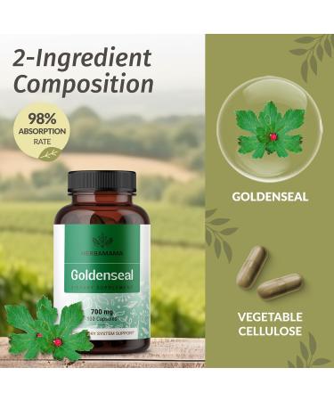HERBAMAMA Turmeric Ginger and Goldenseal Kit - Bundle of Turmeric Ginger Tincture 2 fl oz and 700 mg Goldenseal Root Capsules - Vegan Non GMO Sugar & Alcohol-Free - 2 Pack - Buy Online on GoSupps.com