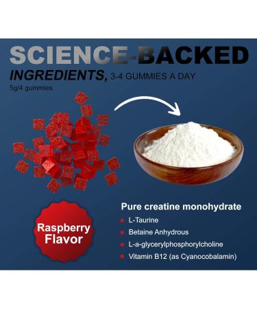 120 Vegan Creatine Monohydrate Gummies - Sugar-Free & Tasty Chewables for Muscle Growth Recovery & Performance (Raspberry) - Men & Women - Buy Online on GoSupps.com