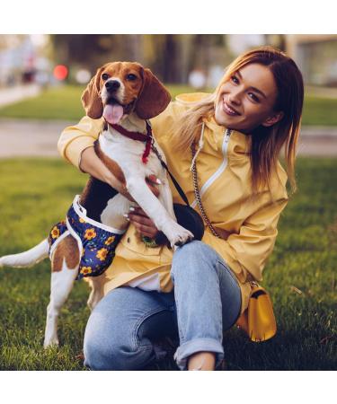 Reusable Pet Soft Dog Diapers for Bitches | High-Suction Incontinence Pants - 3 Pack (Sample 3 S) | Eco-Friendly Dog Supplies - Buy Online on GoSupps.com