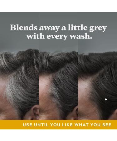 Just For Men Control GX 2 in 1 Grey Reducing Shampoo and Conditioner Gradually Colors Hair 118ml (1 Count) 118 ml (Pack of 1) - Buy Online on GoSupps.com