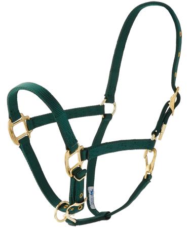 Hamilton 3/4-inch Nylon Arabian Horse Waller with Adjustable Chin and Throat Snap Average 800 to 1100 Pounds Dark Green Average 800 To 1100 Pounds Dark Green