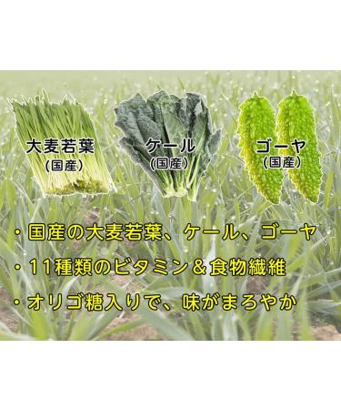 FINE JAPAN Aojiru Green Powder Juice & Smoothie Mix Natural Green Superfood Blend - Supports Digestion and Energy- 30-Day Course (100g) - Buy Online on GoSupps.com