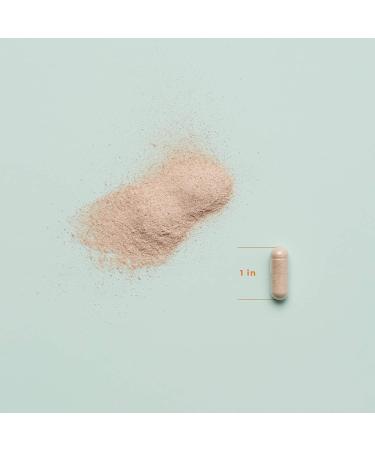 LifeSeasons Relieve-R - Effective Relief Supplement | 46 Vegetarian Capsules - Buy Online on GoSupps.com