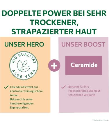  Alkmene alkmene Calendula Regenerating Cream for Damaged and Dry Skin 200ml - Vegan Skin Cream Relieves Itchy Skin - 2 Pack - Buy Online on GoSupps.com