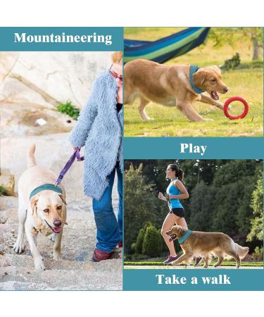 Ekong Dogs Halle Halle Cooling Collar - Breathable Heat Discharge Bandana for Dogs - Summer Cooling Solution for Cold Dogs (45 x 13cm) - Buy Online on GoSupps.com