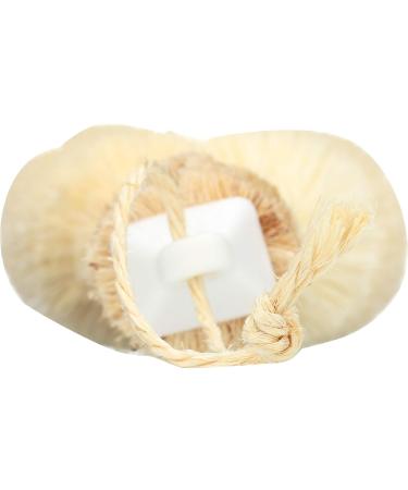 Earth Therapeutics Back Brush - Removable Design | 1 Count - Buy Online on GoSupps.com