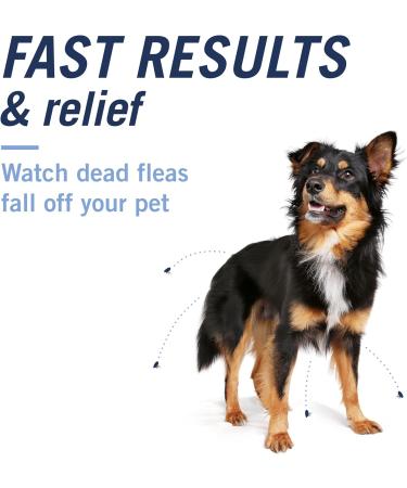 PetArmor Capaction Oral Flea Treatment for Dogs | Fast-Acting 6 Tablets for Dogs Over 25 lbs - Buy Online on GoSupps.com