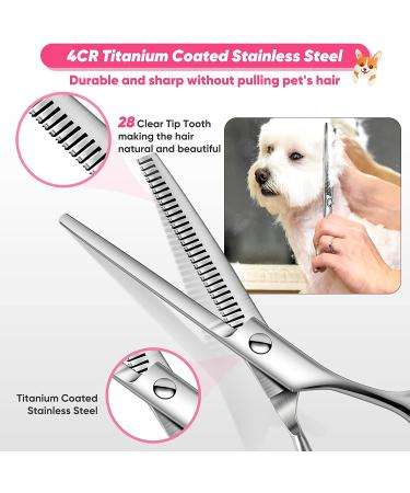 6 in 1 Professional Dog Grooming Scissors Kit with Safety Round Tips - Titanium Coated Stainless Steel Shears for Pets - Pink - Buy Online on GoSupps.com