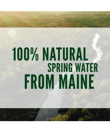 Poland Spring 1 Gallon Jug - 128 fl oz - Pure Spring Water - Buy Online on GoSupps.com