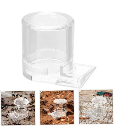 BESPORTBLE Pet Water Feeder Ants Waterer Ant Nest Entrance Feeder Ant Water Feeder Ant Nest Water Cup Ant Watering Station Ant Waterer for Garden Ant Nest Supplies Ant Feed Bowl Ant Keeping - Buy Online on GoSupps.com