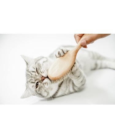 Lucybalu Cat Brush for Short & Long Hair | Natural Bristles & Wooden Handle | Best Cat Grooming Tool | Fellbrush & Katzenkamm - Buy Online on GoSupps.com