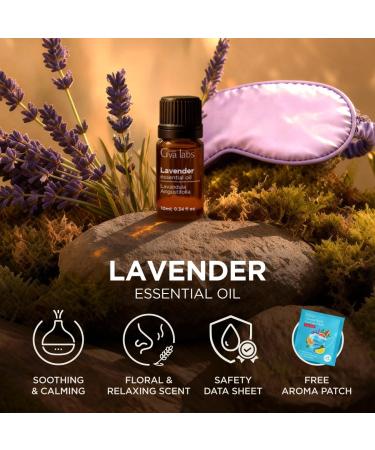 Gya Labs Lavender Essential Oil for Aromatherapy 0.34 Fl Oz Premium Grade Essential Oils for Diffuser Aromatherapy Hair Care Skin Care Body Massage & DIY Candle Making Scents 0.34 Fl Oz (Pack of 1) - Buy Online on GoSupps.com
