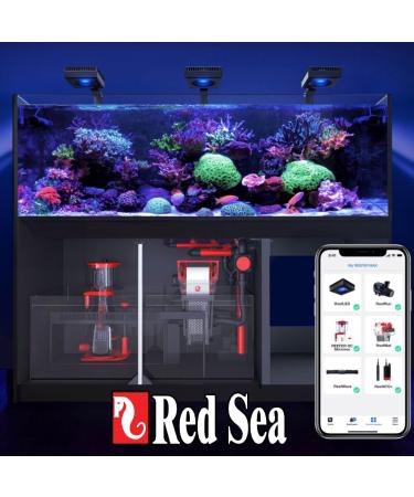 Red Sea Reef Foundation A (Ca/Sr) Supplement 1000ml - Calcium & Strontium Additive for Healthy Coral Growth in Marine & Reef Aquariums - Buy Online on GoSupps.com