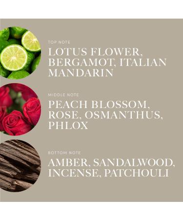 Aroma360 Heat Elite Fragrance Oil - Miami Heat Edition | Essential Oil for Home & Office Diffuser 50mL - Buy Online on GoSupps.com