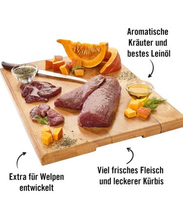 Dogs'n Tiger Gourmet Lamb Puppy Menu with Lamb and Pumpkin Grain Free Added Sugar Optimal Tolerance 400g (Pack of 6) - Buy Online on GoSupps.com