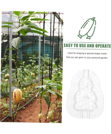 Yardwe 9 Pcs Vegetable Growing Mold Strawberry Accessories Small Fruit Mold Watermelon Multifunction 9x8cmx3pcs Transparentx3pcs - Buy Online on GoSupps.com