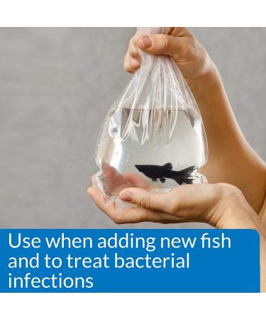 API MELAFIX - Effective Freshwater Fish Healing Remedy | 8oz - Buy Online on GoSupps.com