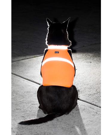 2PET Dog Hunting Vest and Safety Reflective Vest - Used for High Visibility - Protects Pets from Cars & Hunting Accidents in Both Urban and Rural Environments - Choose Color and Size Small rockstar Orange