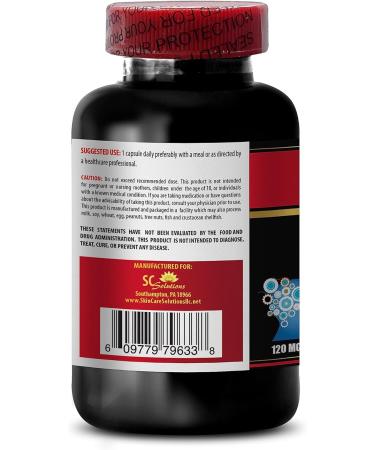 brain and memory booster - GINKGO BILOBA 24% EXTRACT 120MG - gingko biloba tablets brain and memory booster brain support memory focus supplement brain boost gingko biloba tablets - 1B 60 Caps - Buy Online on GoSupps.com