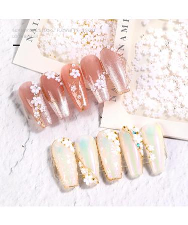 3D Colorful Flower Nail Charms - 2 Boxes, 6 Grids, Rhinestone, Pearl, Gold & Silver Beads - DIY Nail Decor for Cherry Blossom Art - Buy Online on GoSupps.com