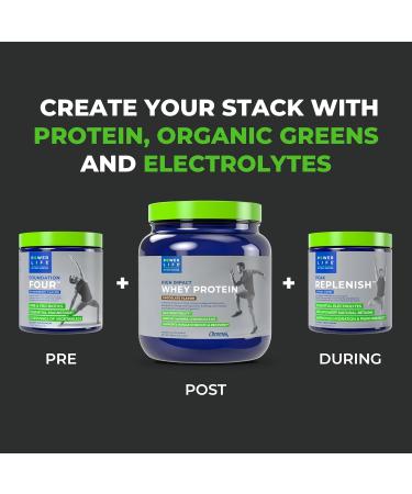 POWERLIFE High Impact Whey Protein - Chocolate - New Formula - 13.4 Oz. - Buy Online on GoSupps.com