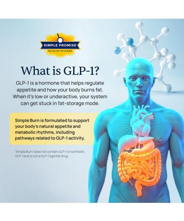 Simple Burn Daily GLP-1 Booster Weight Management Supplement with Berberine HCl for Women - GLP1 Natural Appetite Suppressant - Supports Fat Metabolism & Craving Control - 60 Capsules - Buy Online on GoSupps.com